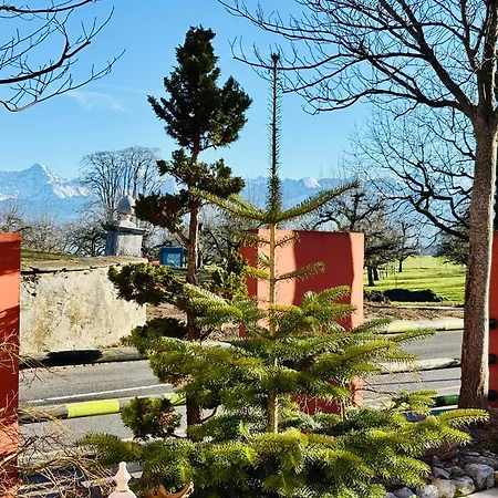 Alpine View *