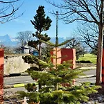 Alpine View *